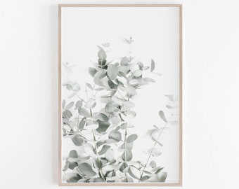 Eucalyptus Print, Eucalyptus Leaves, Botanical Print, Botanical Art Prints, Botanical Wall Art, Botanical Art Print, Eucalyptus Wall Art