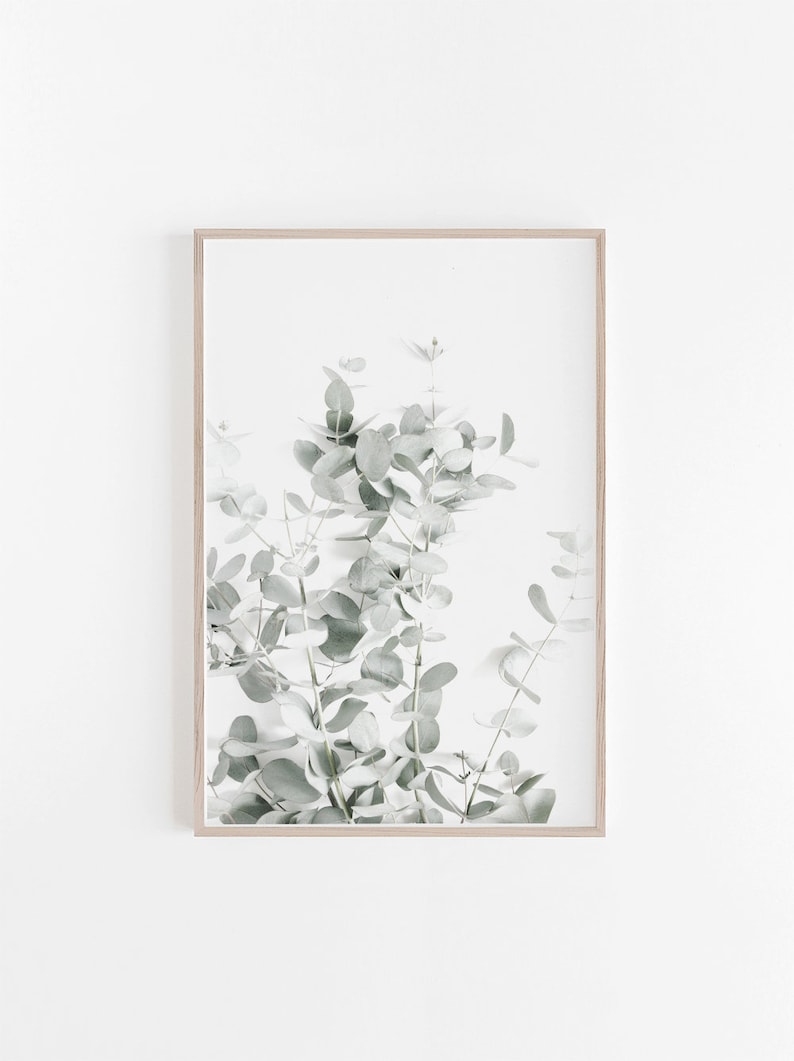 Eucalyptus Print, Eucalyptus Leaves, Botanical Print, Botanical Art Prints, Botanical Wall Art, Botanical Art Print, Eucalyptus Wall Art image 1