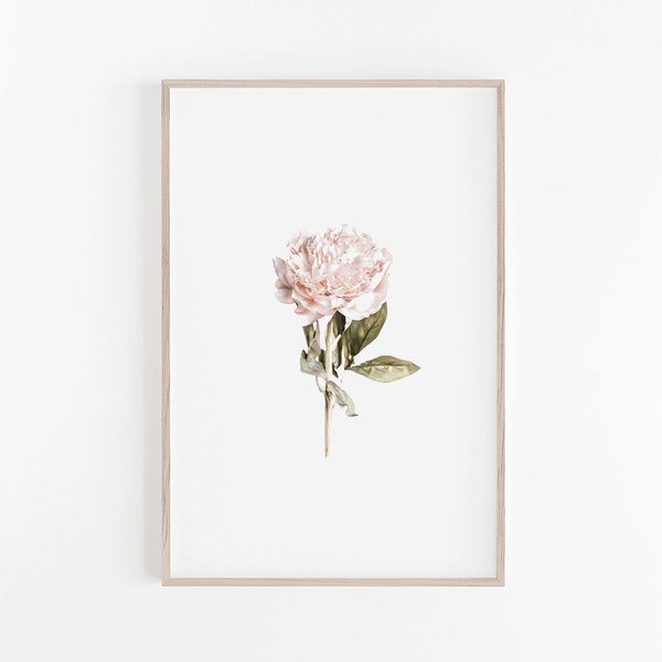 Peony Print, Watercolor Effect, Peony Wall Art, Peony Art Print, Flower Print, Floral Print, Floral Decor, Floral Wall Art, Pink Wall Art