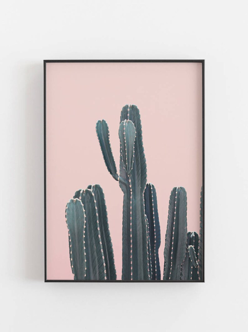 Cactus Print,Modern Minimalist,Wall Prints,Printable Art,Cacti,Digital Prints,Cactus Wall Art,Cactus Poster,Cactus Prints,Cactus Photography