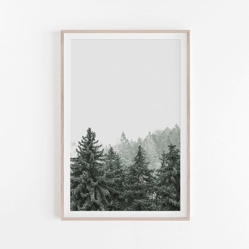 Set of 3 Prints Nature Prints Nature Wall Art Nature Decor Etsy