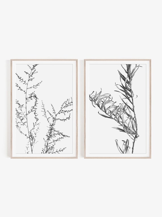 Black and White Set of 2 Prints Wall Art Nature Prints - Etsy