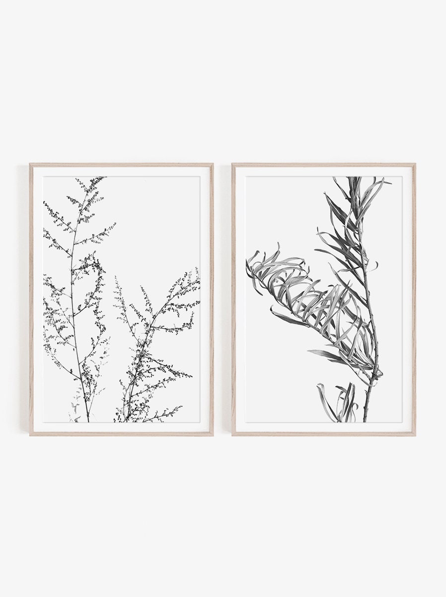 Black and White Set of 2 Prints Wall Art Nature Prints | Etsy