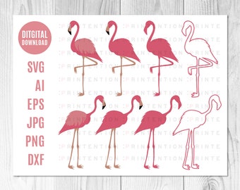 Flamingo SVG Cut File Clipart - PNG Flamingo's Download - Originele Vector Illustratie voor klussen - Layered SVG - Eps Circuit Silhouette