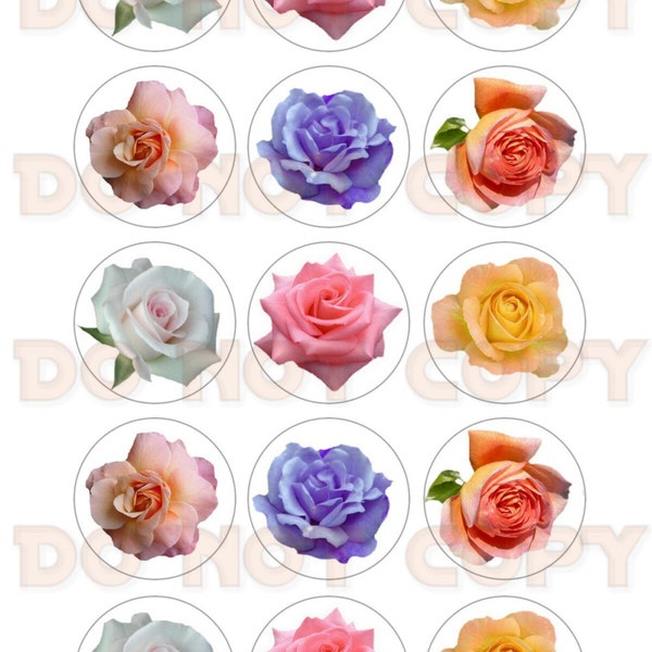 Bottle Caps Graphics Etsy