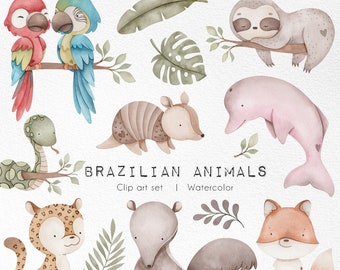 Brazilian animals watercolor, cute baby animals clipart bundles, tropical forest, nursery baby animals decor, baby jungle illustrations