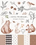 Little Woodland clipart, forest animals watercolor illustrations, nursery decoration, stationary supplies, baby bear and bunny png product logo