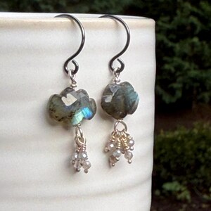 May include: A pair of drop earrings featuring faceted, cloud-shaped labradorite stones with iridescent blue flashes. Each stone is suspended from a silver-toned hook and accented with a cluster of small, pale, round beads hanging from the base.