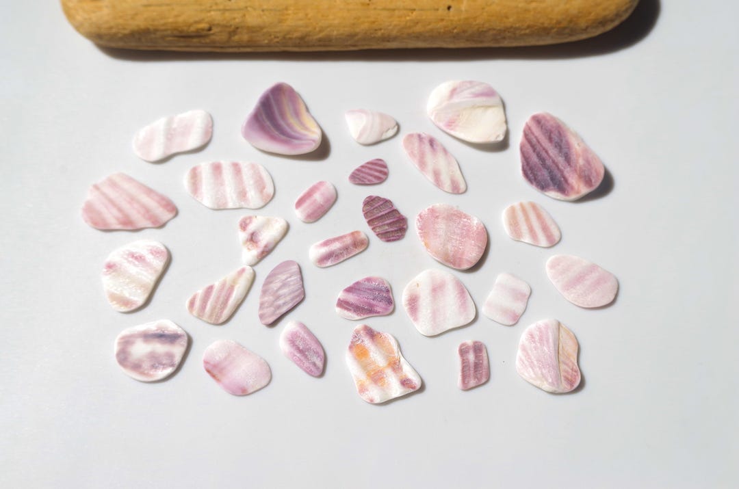 Shell Flakes Purple Color / Surf-tumbled Shell / Natural Shell Flakes / Japanese Sea ...