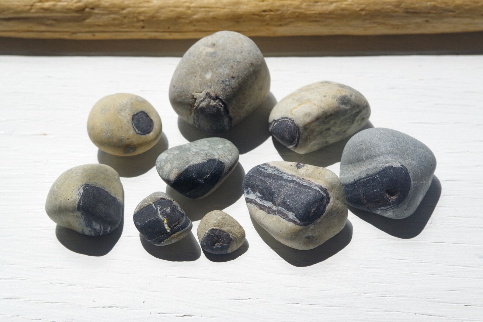 RARE Type Stone / Strange Pebbles / Japanese sea stones / 100 Etsy