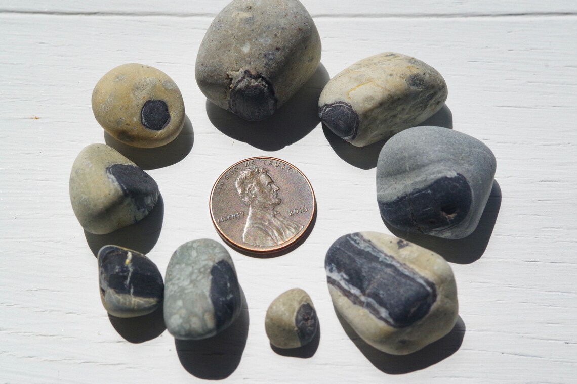 RARE Type Stone / Strange Pebbles / Japanese sea stones / 100 Etsy