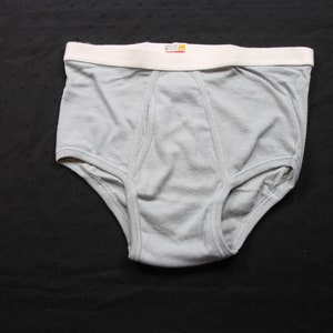 Vintage Hanes Signature White Briefs 6 Pack Sz 38 From 2003 10086 