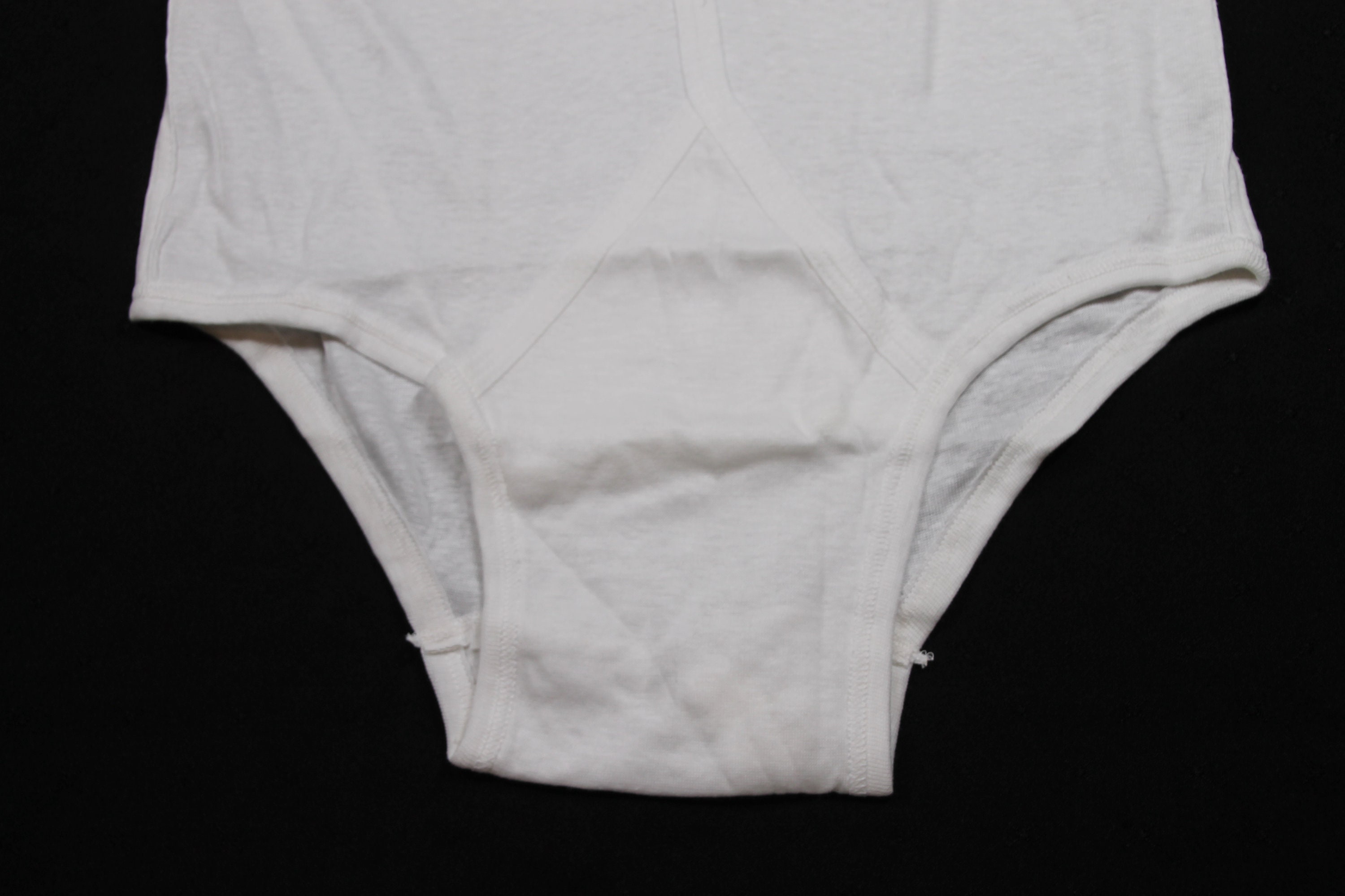 1962 Hanes Underwear Ad ~ Boxer Shorts, Boxer Dog, Vintage