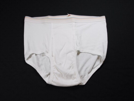 Vintage Fruit of the Loom Briefs Underwear Classic White Adult