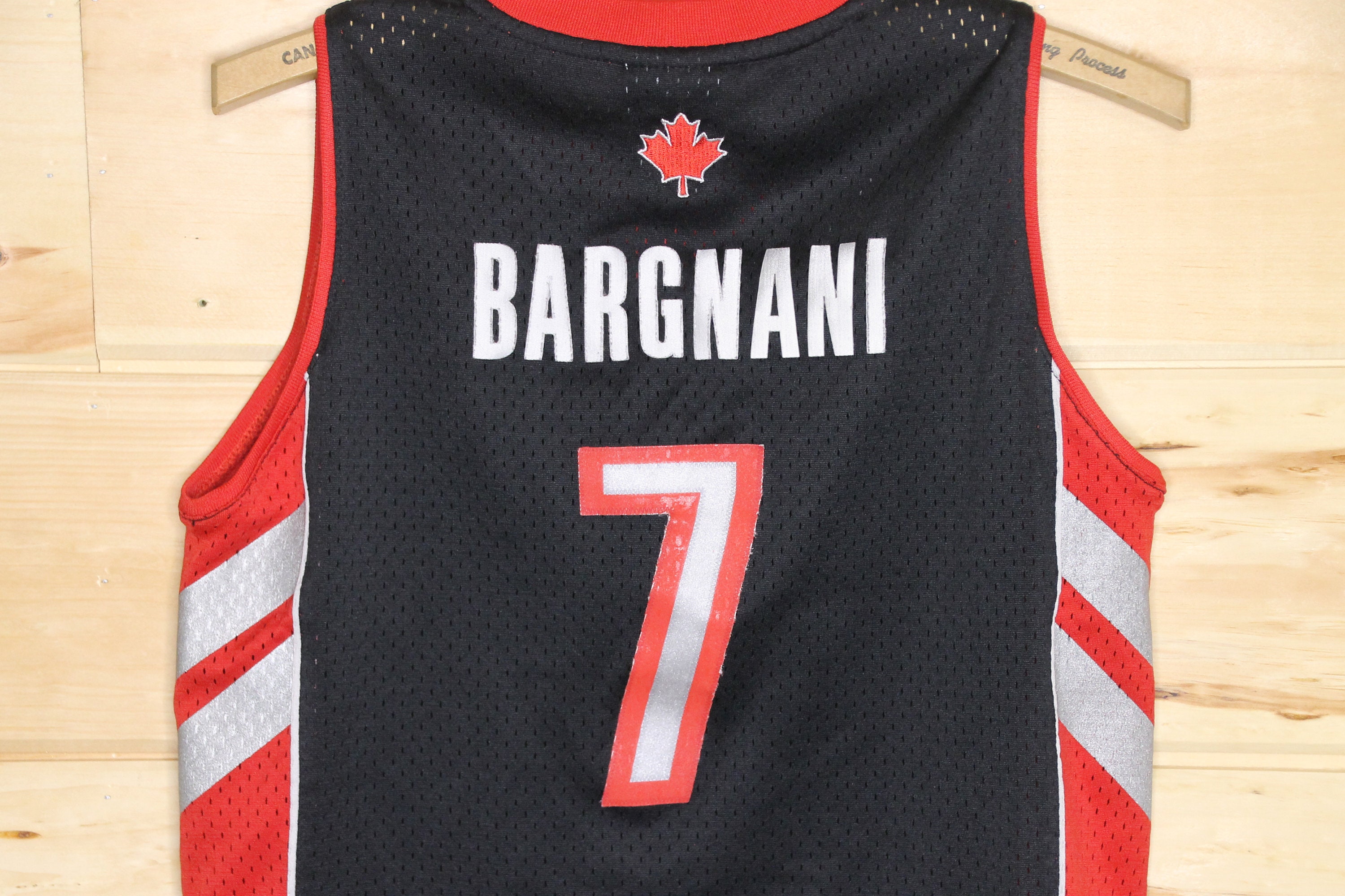 Toronto Raptors Andrea Bargnani Kids Champion Jersey Vintage 
