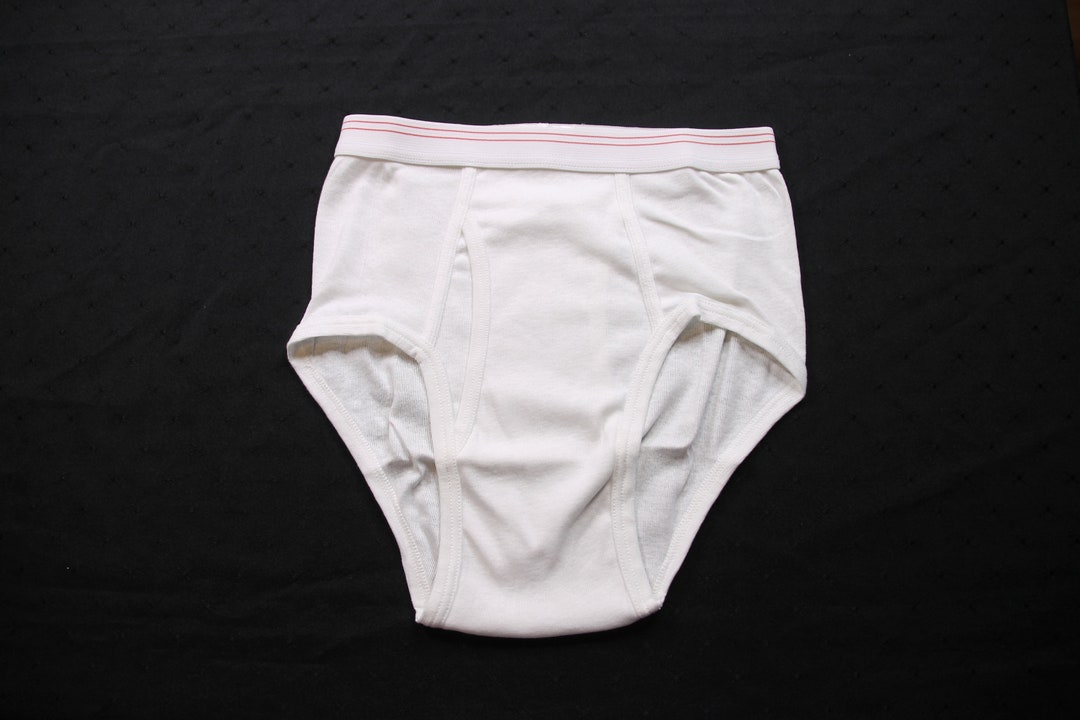 Vintage Sears Roebuck and Co Briefs Underwear Classic White Adult Size