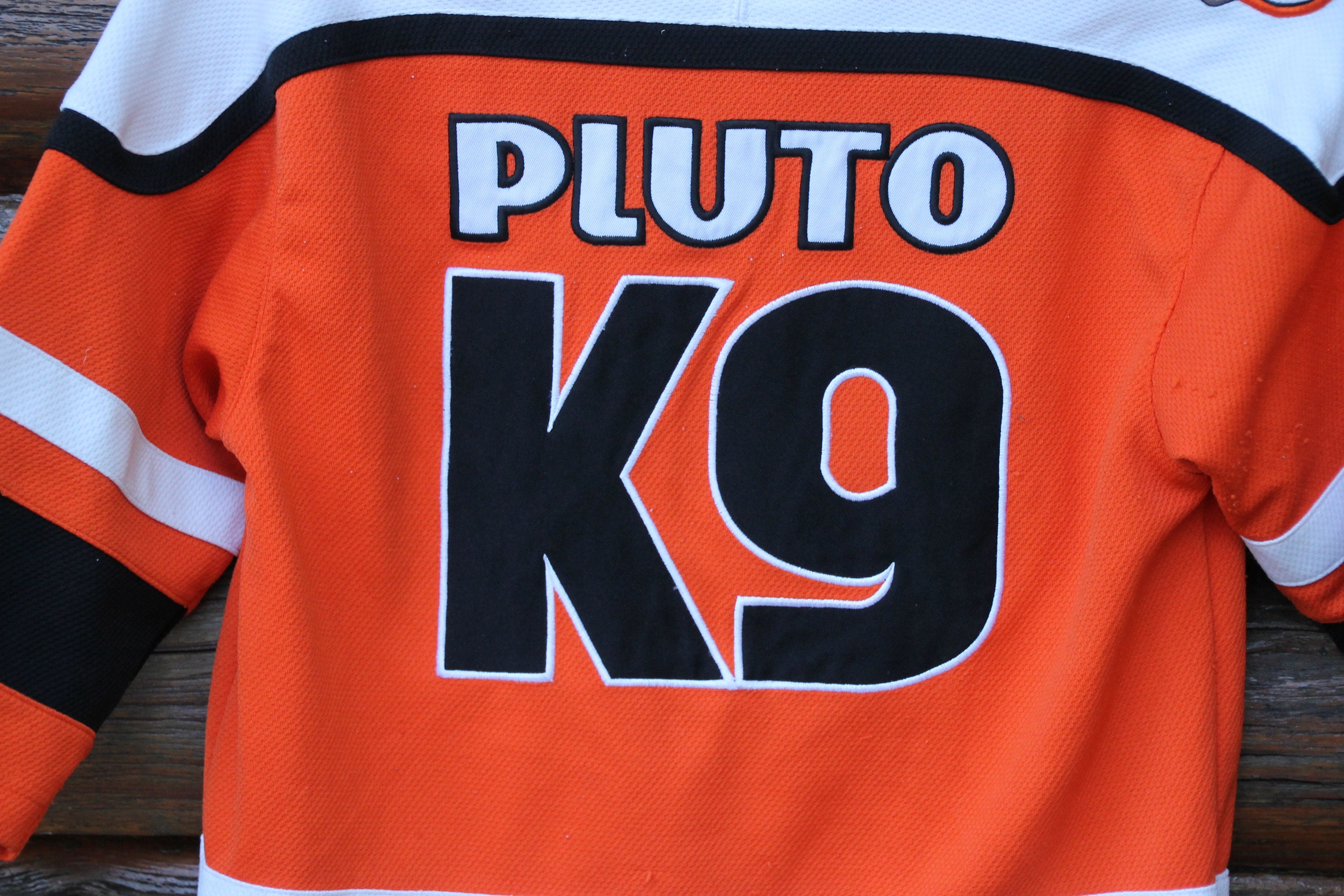 Vintage Disney Walt Disney World Pluto's Devil Dogs Hockey - Etsy Nederland