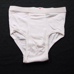 Vintage 1996 Hanes Her Way White Cotton Brief Underwear Panties 3 Pair Size  7