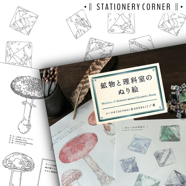 Mineral & Science Room Japanese Colouring Book // Adult Coloring Book // Diamond Crystal Mushroom Nature Wildlife Garden Forest Flowers //