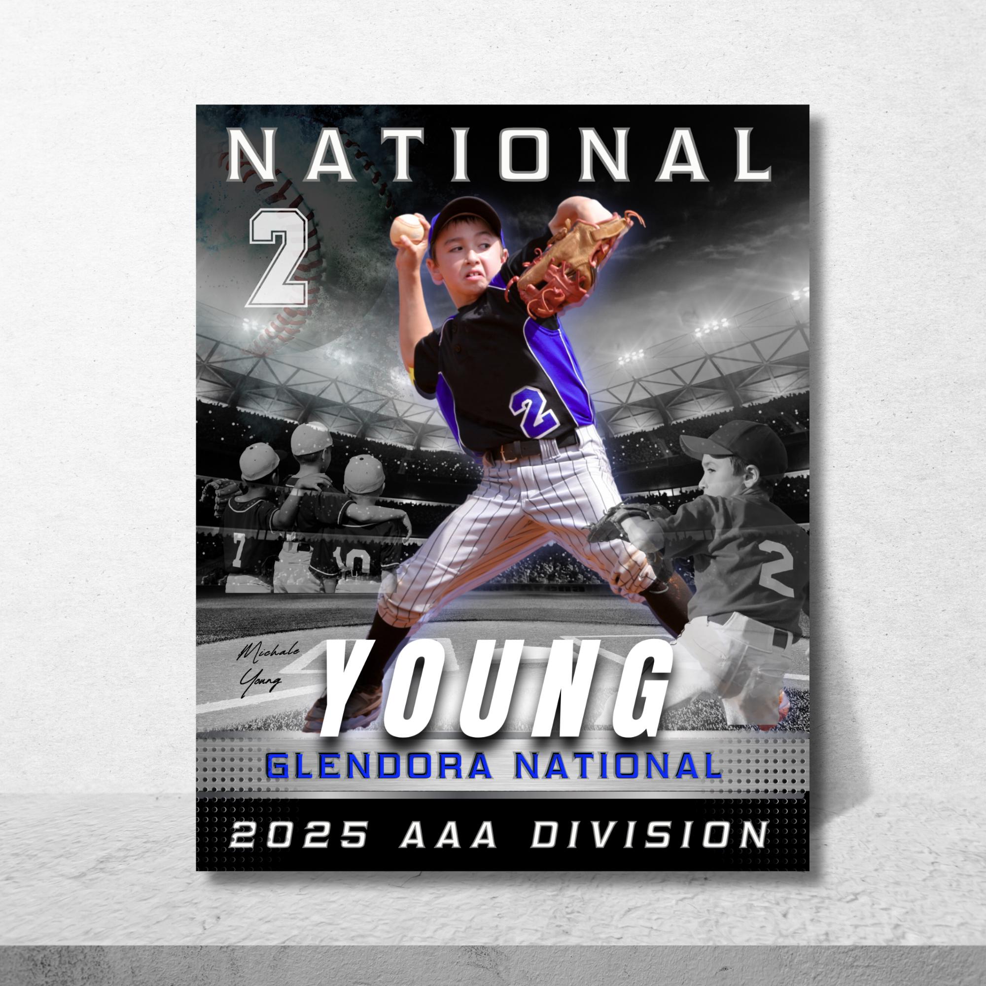 Baseball Team Gift, Personalized Baseball Poster For End Of The Season, Senior Day, Digital File & Print Options, Baseball Memory Gift Idea