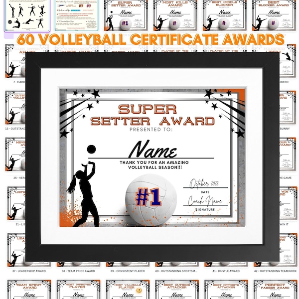 Volleyball Award Etsy