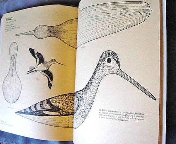 Carving Classic Regional Shorebirds Book By Anthony Hillman How To Instructions - 