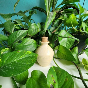 Medium Handmade Specialized Potion Bottle