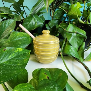 Honey Pot
