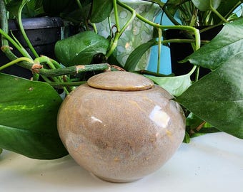 Small Lidded Jar (or Urn)