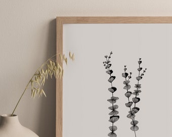 Drawn Illustration Eucalyptus - A4 Poster - Modern Herbarium - Edition produced by hand and Indian ink - monocotyledon