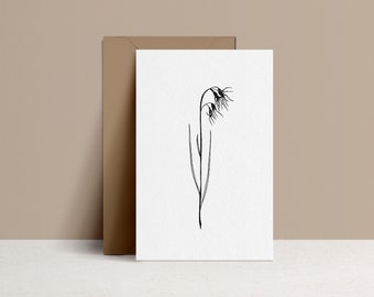 Illustrated postcard - Fern // Adiantum Capillus - Drawing by hand - limited edition and numbered - monocotylédone