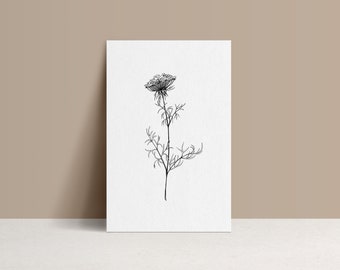 Illustrated postcard - Fern // Adiantum Capillus - Drawing by hand - limited edition and numbered - monocotylédone