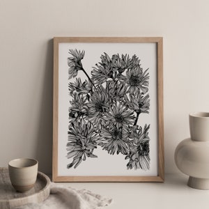 Drawn Flower Poster, A4 Illustration, Asteraceae, Flower drawn by hand and ink, floral art, monocotyledon image 1