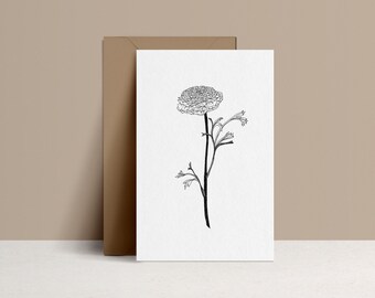 Illustrated postcard - Fern // Adiantum Capillus - Drawing by hand - limited edition and numbered - monocotylédone