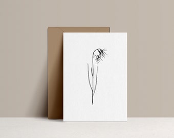Illustrated postcard - Fern // Adiantum Capillus - Drawing by hand - limited edition and numbered - monocotylédone