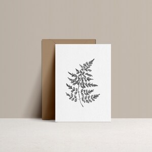 Illustrated postcard - Fern // Adiantum Capillus - Drawing by hand - limited edition and numbered - monocotylédone