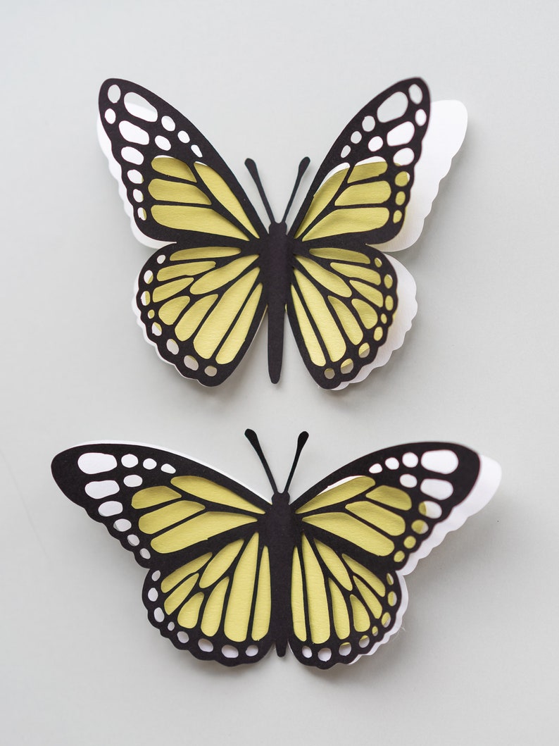 Free Free Monarch Butterfly Svg File 879 SVG PNG EPS DXF File