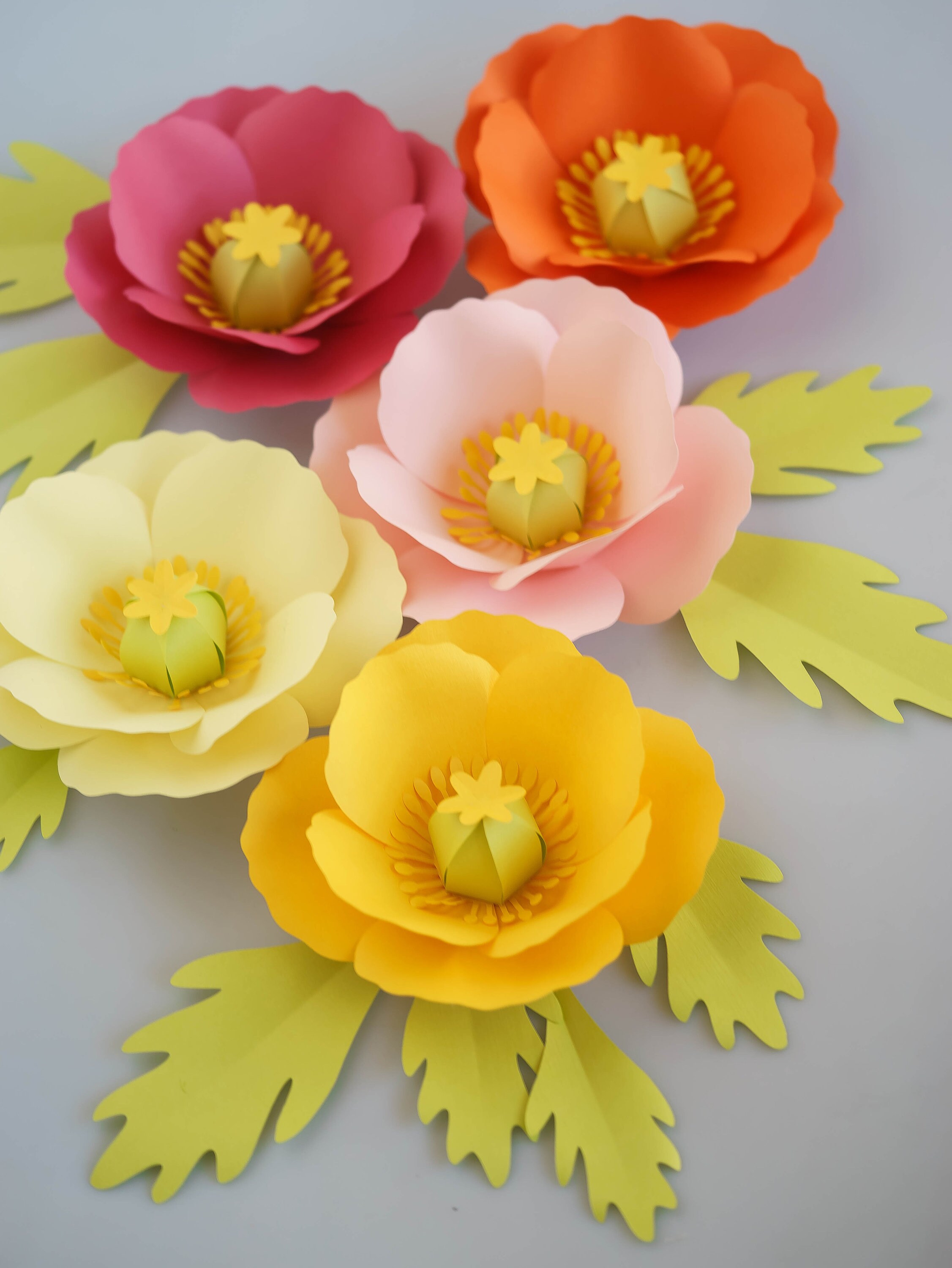 Download Poppy Paper Flower Template Svg Pdf Video Tutorial 3d Etsy