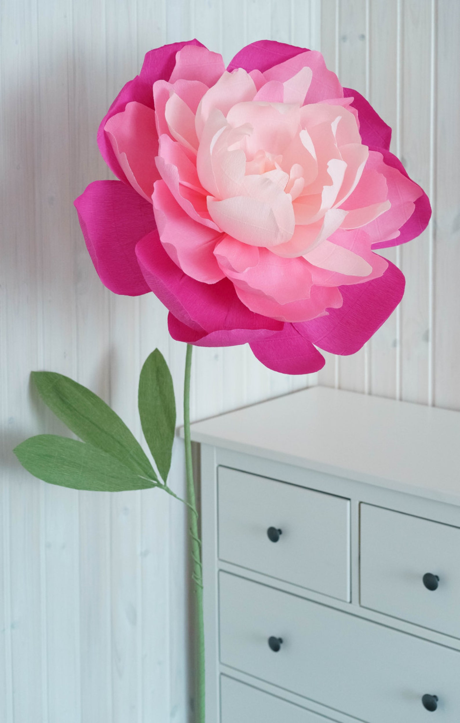 Large Crepe Paper Flower Templates Video Tutorial DIY Giant Etsy Large Crepe Paper Flower Templates Video Tutorial DIY Giant Etsy