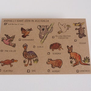 Animals I have seen in Australia Postcard