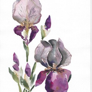 Tarjeta de felicitación floral en acuarela con diseño de iris, tamaño A6