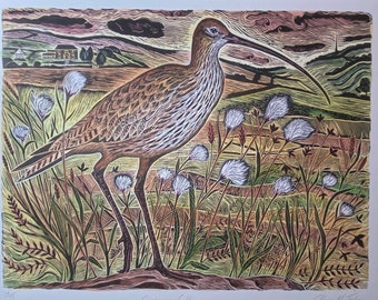 Pack of 6 greetings cards Curlew in Cottongrass