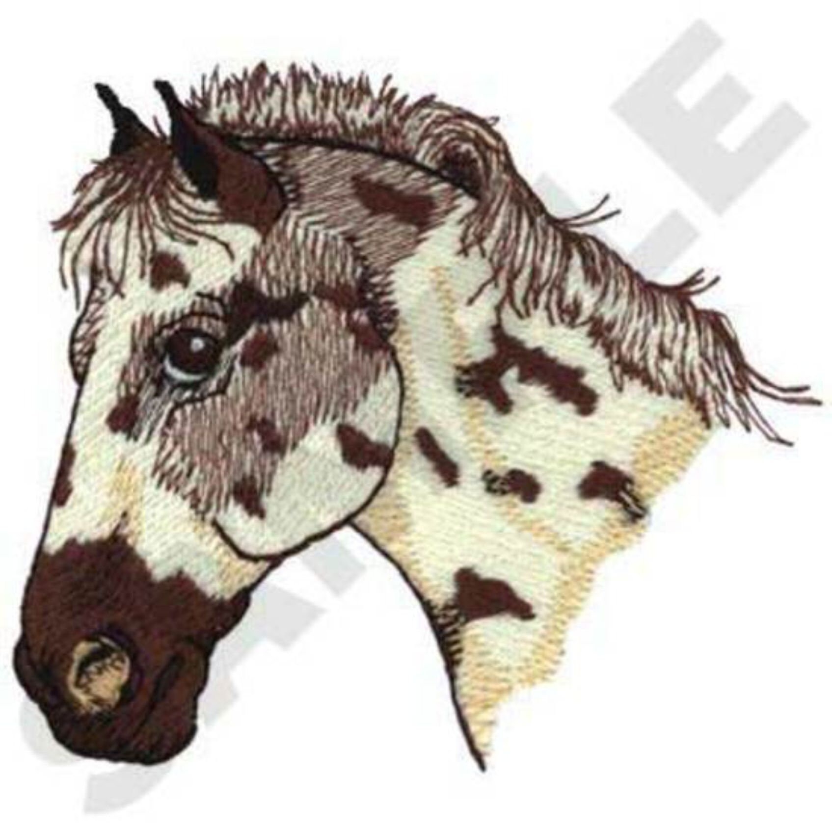 Embroidery designs horses pack 1  etsy Embroidery designs horses pack 1  etsy