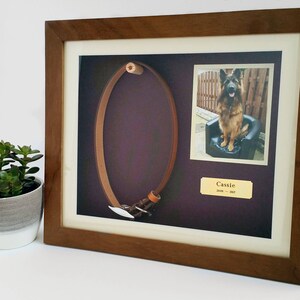 Dog collar frame clearance