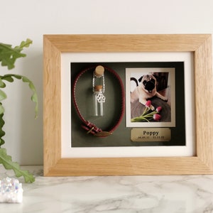 Handmade Oak Pet Memorial Shadow Box: Custom Collar & Photo Keepsake