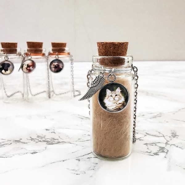 Photo Pet Memorial Urn | Glass Vial for Ashes or Hair | Pet Loss Gift | Dog or Cat Keepsake | Hanging urn | Dog mum | Jar for Fur