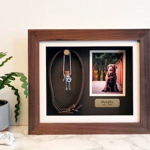 May include: A wooden shadow box memorial frame with a brown leather dog collar, a small glass vial with a paw print charm, and a photo of a brown dog. The frame also includes a gold nameplate with the text "Murphy 2013 - 2022".
