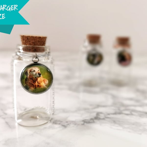 Large Photo Pet Memorial Urn | Glass Vial for Ashes or Hair | Pet Loss Gift | Dog or Cat Keepsake | Jar for Fur | Rainbow-Bridge Gift