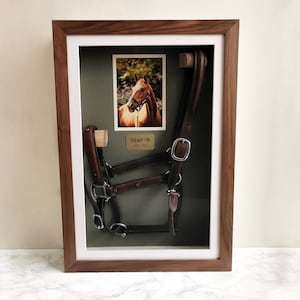 Custom Horse Halter Shadow Frame | Personalized Head Collar Memorial | Handmade Equine Keepsake with Photo & Engraved Plaque