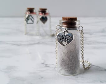 Pet Memorial Urn | Glass Vial for Ashes or Hair | Pet Loss Gift | Dog Cat Keepsake | Hanging Cat Urn | Rainbow-Bridge Gifts | Jar for Fur